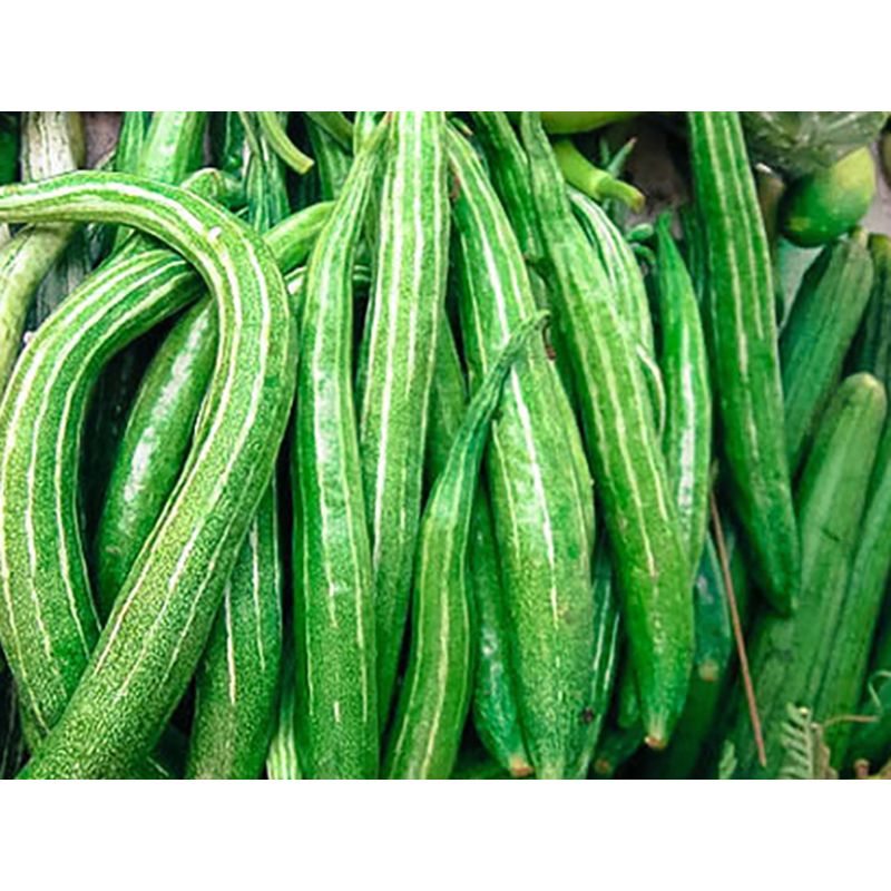 Picture of Chichinga seed -20 pitch