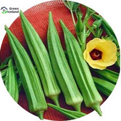 Picture of Natural Women's finger/Orca Seed-10 Peace Seeds