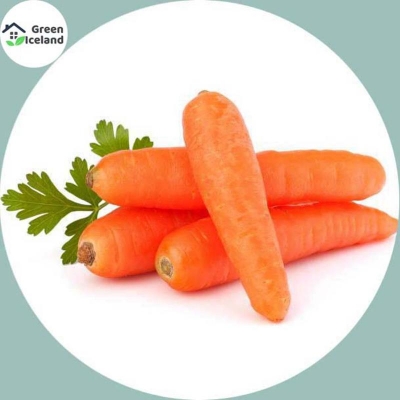 Picture of Carrot seeds (carrot seeds) - 100 pieces seeds (Global seeds)