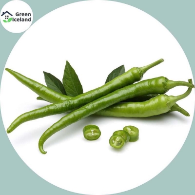 Picture of 20 Peace Organic Green Chili Seeds (Pepper Seeds) - 20 Piece Seeds