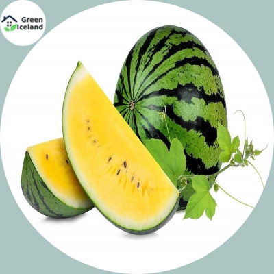 Picture of Bonsai seeds of yellow watermelons of all season -10 pes seeds