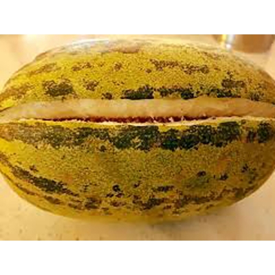 Picture of Muskmelon Seeds bangi Seeds - 30 PCS (Chinal Bangi Seed Intake Packet)