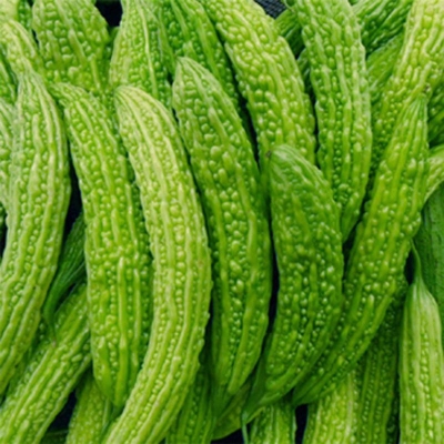 Picture of Korla Hybrids faster growth look beautiful-550 seeds