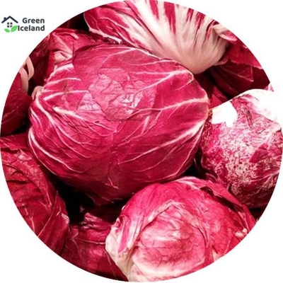 Picture of 20 PCS Organic Red Cabbage Seeds (Red Damage Seeds)