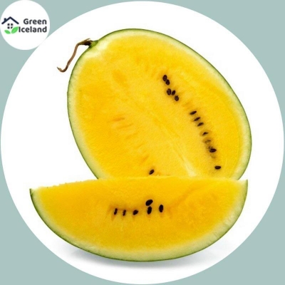 Picture of Bonsai seeds of yellow watermelons of all season - 10 pce seeds