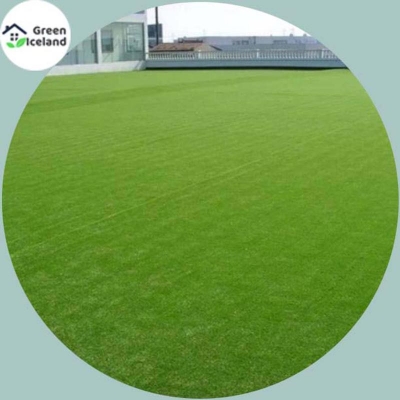 Picture of 200 + Peace Sports Field Grass Seed (Mahas Seed) - 200 + Peace Seed (Global Seed)