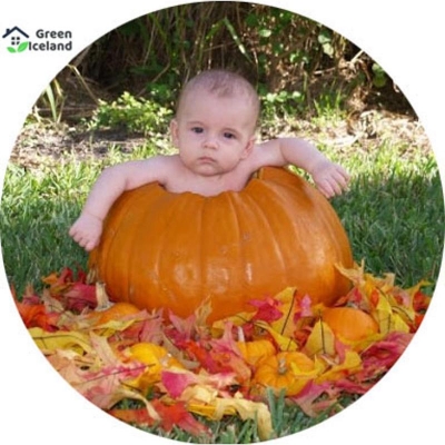 Picture of 5 PCS Organic Hybrid Sweet Pumpkin Seeds (Hybrid Sweet Pumpkin Seeds) - 5 PCS Seeds