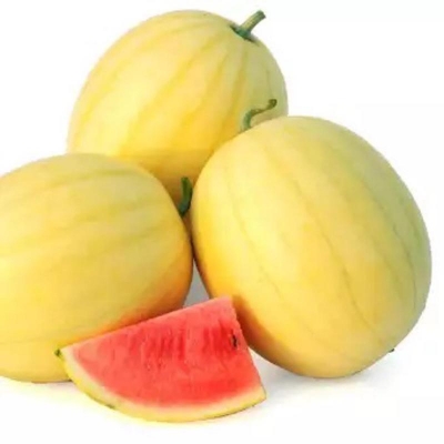 Picture of Melon King Watermelon's Bonsai Red meat garden porch porch-15 pc seeds