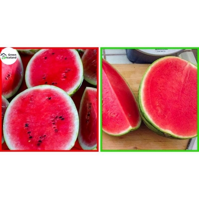 Picture of 10 Piece Global Sweet Watermelon Seeds (Watermelon Seed)