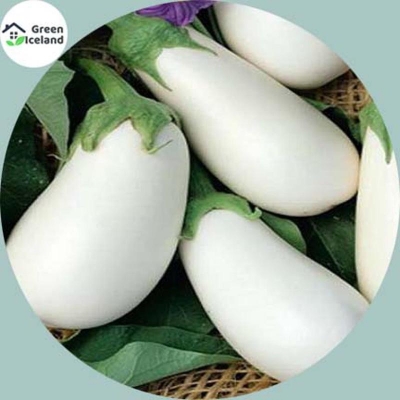 Picture of 10 Piece white eggplant seeds of all season (white eggplant seed)