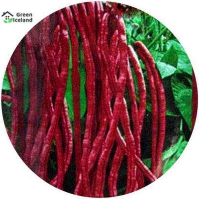 Picture of The seeds of tall bean (red barbati seed) - 50 pce seeds