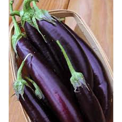 Picture of Global purple long eggplant seed-30 pc