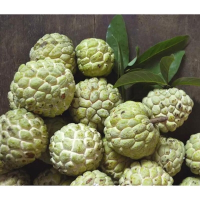Picture of Sugar-free apple floors Organic Fruit Custard Apple Trees Bonsai Seed Seed-10 Piece Seeds for Home Garden
