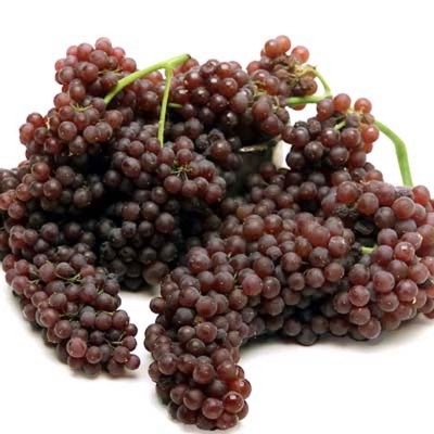 Picture of 20 Piece/Bag Very Rare Drop Grapes Bonsai Organic Heirs Fruit Trees Natural Grape Seed Bonsai Pot Pot for Home Garden (Seeds)