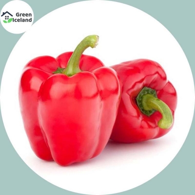 Picture of 20 PCS Global Red Capsicum Seeds (Red Capsicum Seed)