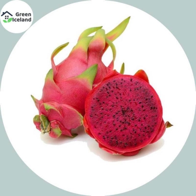 Picture of Organic Dragon Pittaya Fruit Seed-20 Piece Seeds