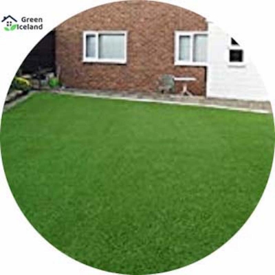 Picture of All season's lawn grass seeds (carpet grass) - 200 + piss seeds