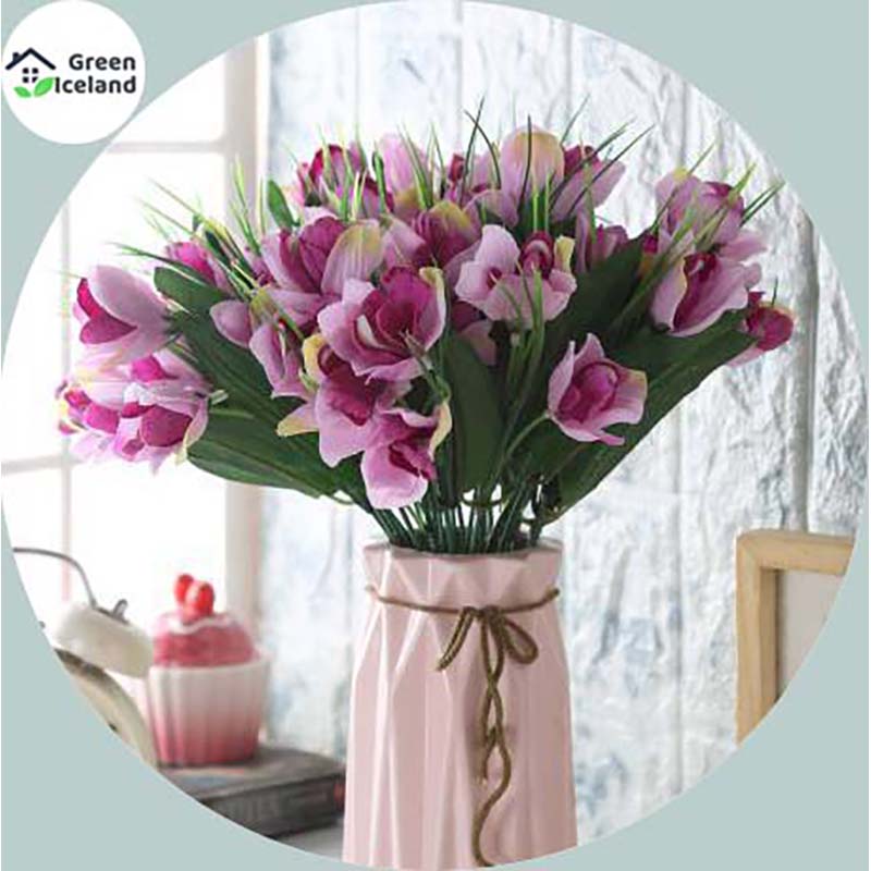 Picture of Cymbidium Orchid Seed-10 Peace Seed (Global Seed)