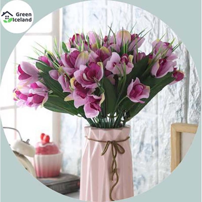 Picture of Cymbidium Orchid Seed-10 Peace Seed (Global Seed)
