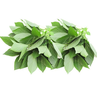 Picture of Jute spinach seeds (jute seeds)- 1000pcs intake packet