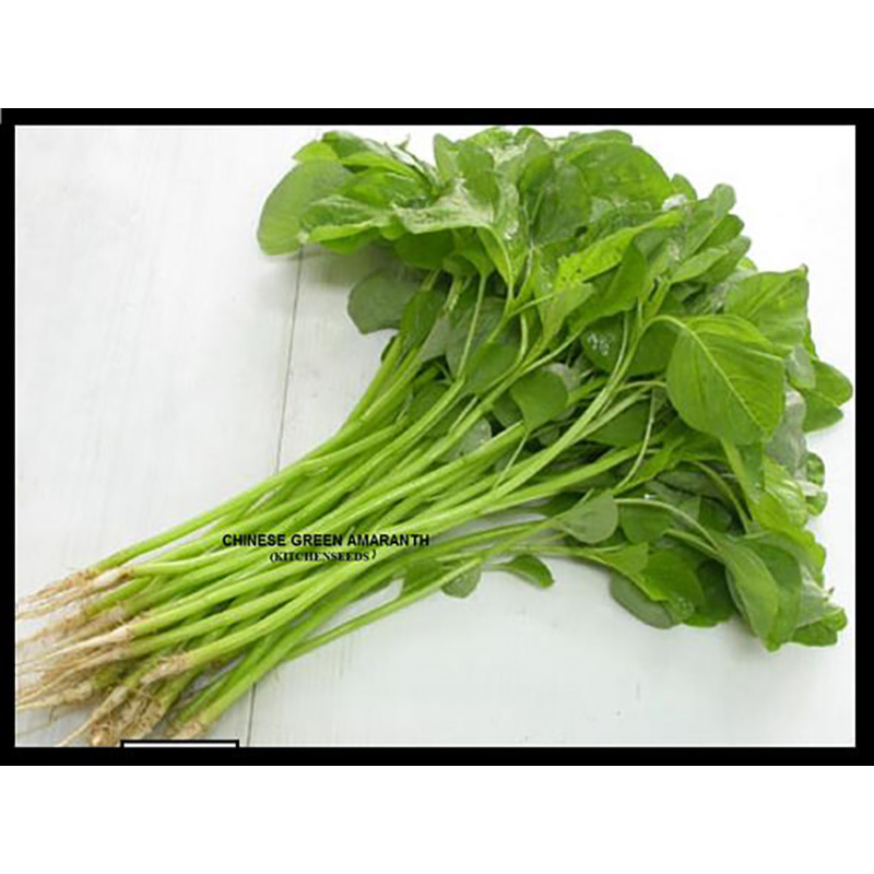 Picture of Greens ghee kanchan seeds - 20 grams