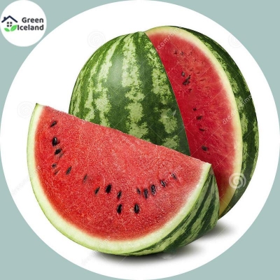 Picture of 10 Peace Global Lazy King Watermelon Seeds