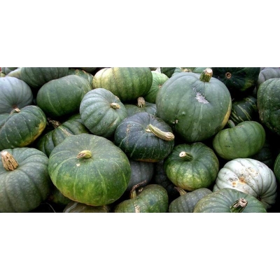 Picture of Sweet pumpkin seed-10 pc