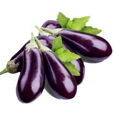 Picture of Eggplant seed -100 pice (eggplant-1 seed) intact packet