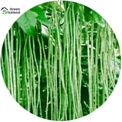 Picture of All season long bean seeds (barbati seed) - 30 pce seeds