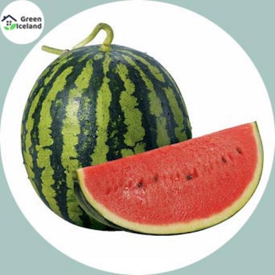 Picture of 10 Piece Global Sweet Watermelon Seeds