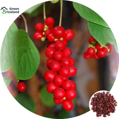 Picture of Seed-seed seed-20 pes seeds of delicious skisandra fruit trees of all seasons
