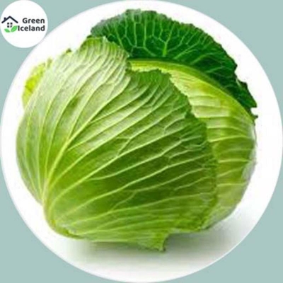 Picture of 20 pieces of cabbage seeds