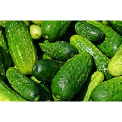 Picture of Khirai seed-10 pice seeds