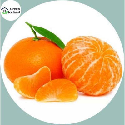 Picture of Seeds of orange fruit trees of all season (orange fruit seed)- 10 pieces seeds