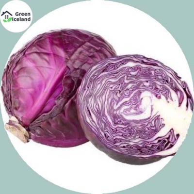 Picture of Red Cabbage Seed-20 Piece Seeds