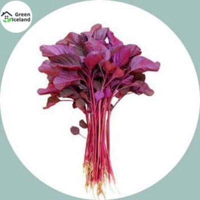 Picture of 1000 Peace Global Red Greens/Red Spinach Seeds