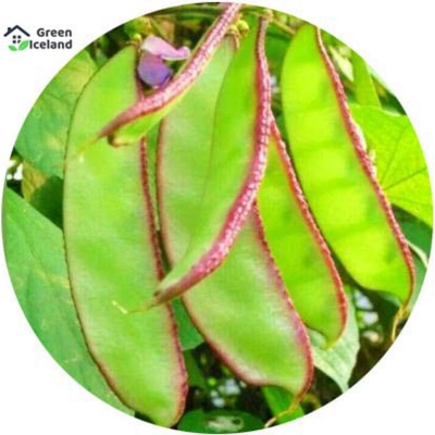 Picture of Global Garden Bin Seed (SIM Seed) - 5 Piece Seeds