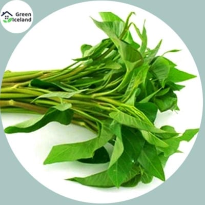Picture of Kangkong water pot seeds (penny vegetable seeds) - 20 pieces seeds