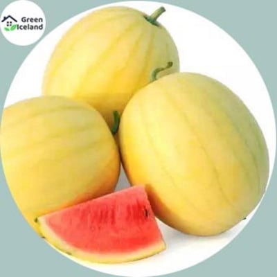 Picture of 10 Piece Natural Small Yellow Watermelon Bonsai Seeds