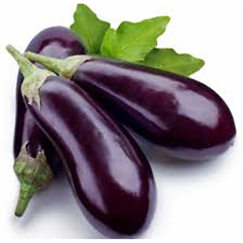 Picture of Eggplant seed -100 pice (eggplant-1 seed) intact packet
