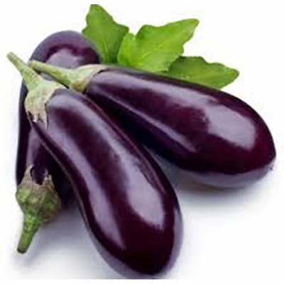 Picture of Eggplant seed -100 pice (eggplant-1 seed) intact packet