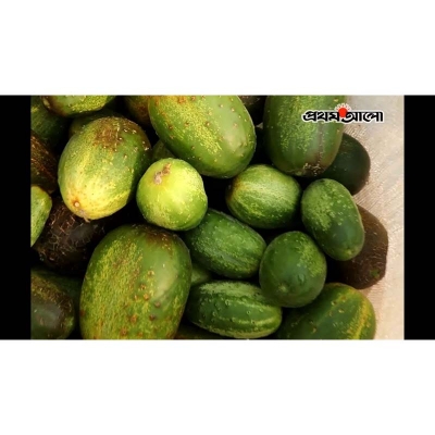 Picture of Khirai seed-10 pice seeds