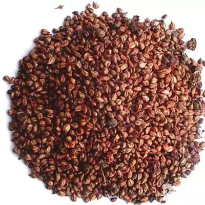 Picture of Grape seed-20 pice seeds as photo trees