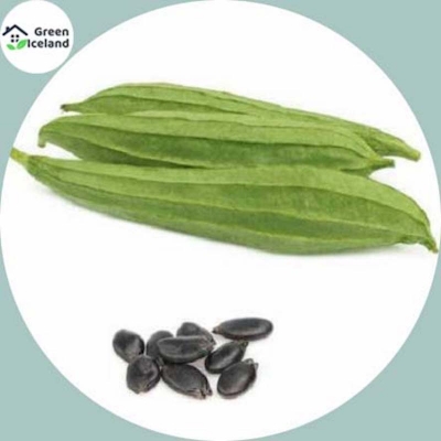 Picture of 20 Peace Global Ginga/Shrimp Seeds (Shinga Seeds)