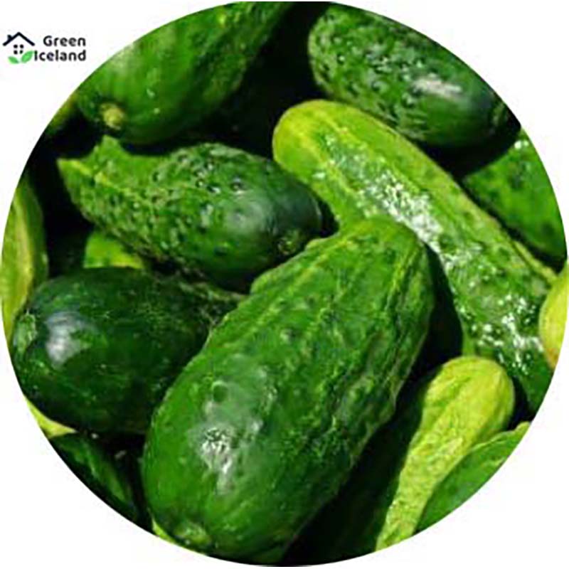 Picture of Seed