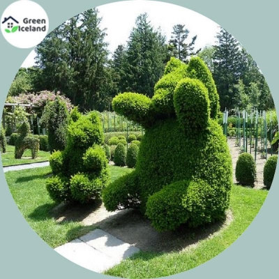 Picture of Seed-seed-seed-550 pice seeds (global seeds)