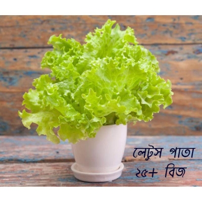Picture of Letz seed-25 pice