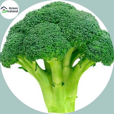 Picture of 10 Piece Broccoli Seeds of All Season