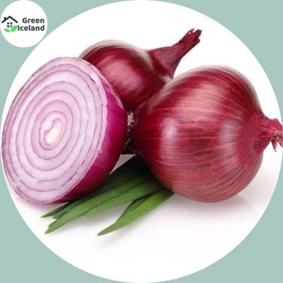 Picture of Red Onion Seed -Onion Seed - 70 Pitch