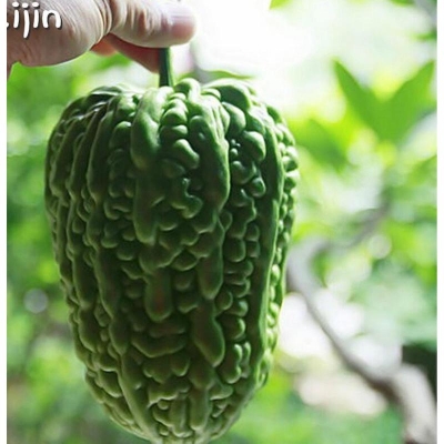 Picture of Hybrid Balsam pear seed-10 pes seed seeds